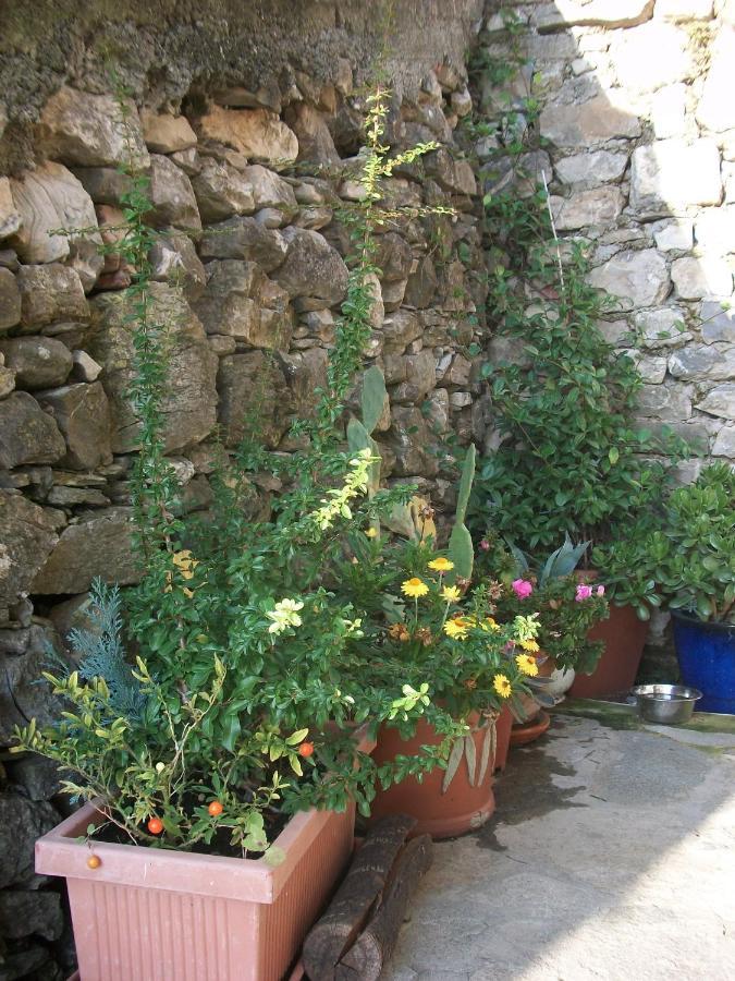 Villa Chezcatherine à Sarzana Extérieur photo